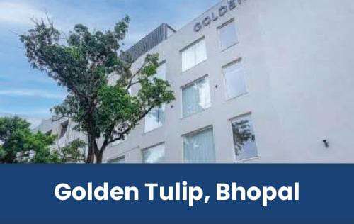 Golden Tulip